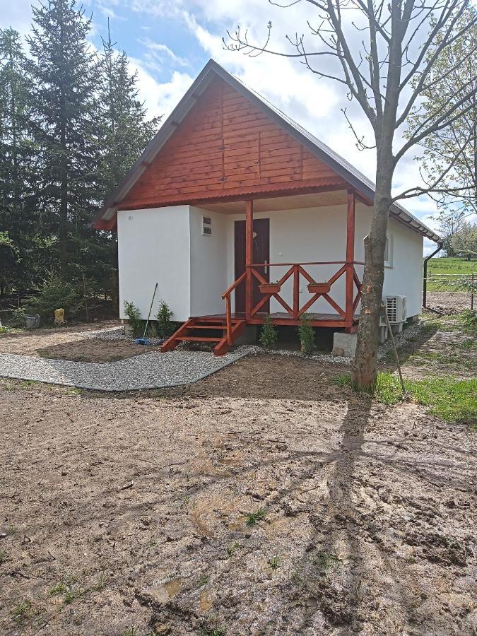 Agroturystyka Pod Sniezna Bystrzyca Kłodzka Dış mekan fotoğraf