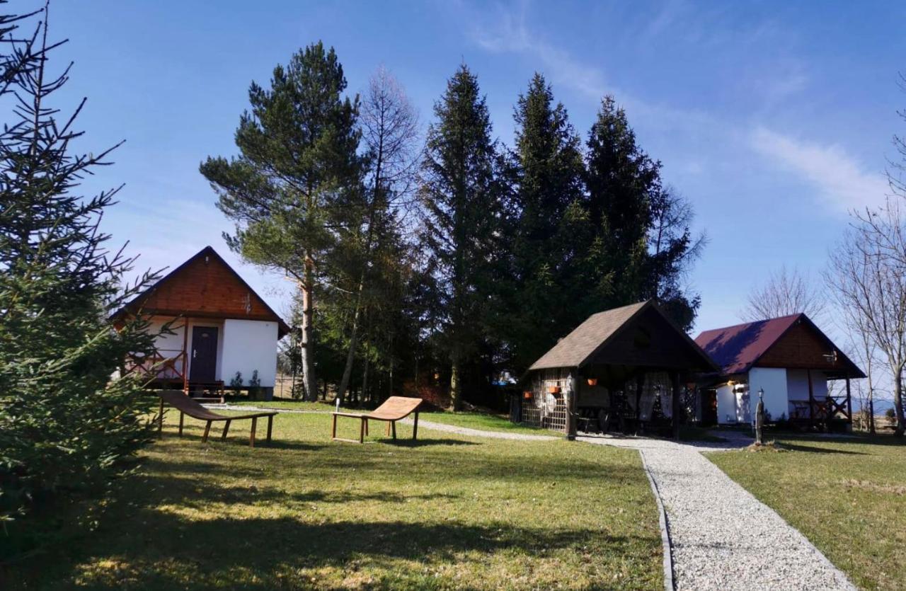 Agroturystyka Pod Sniezna Bystrzyca Kłodzka Dış mekan fotoğraf