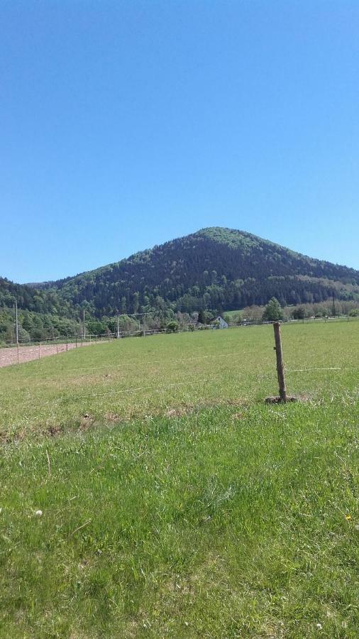 Agroturystyka Pod Sniezna Bystrzyca Kłodzka Dış mekan fotoğraf