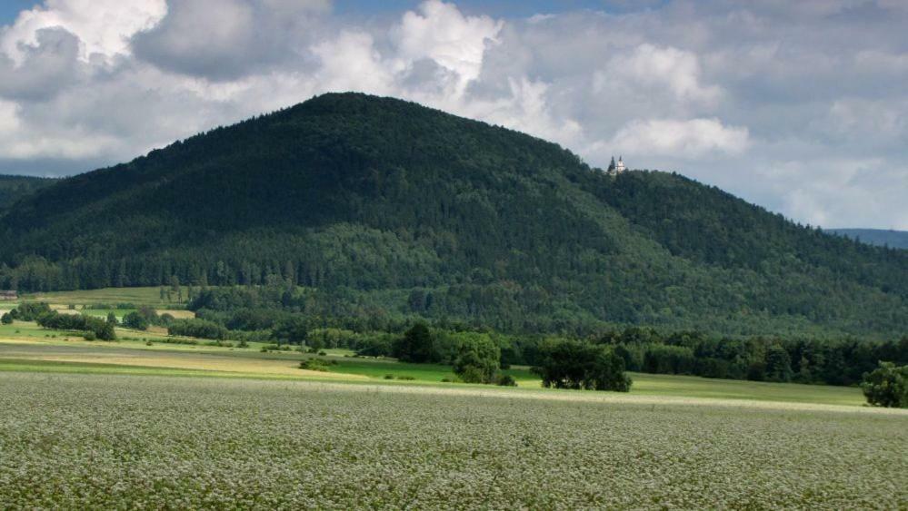 Agroturystyka Pod Sniezna Bystrzyca Kłodzka Dış mekan fotoğraf