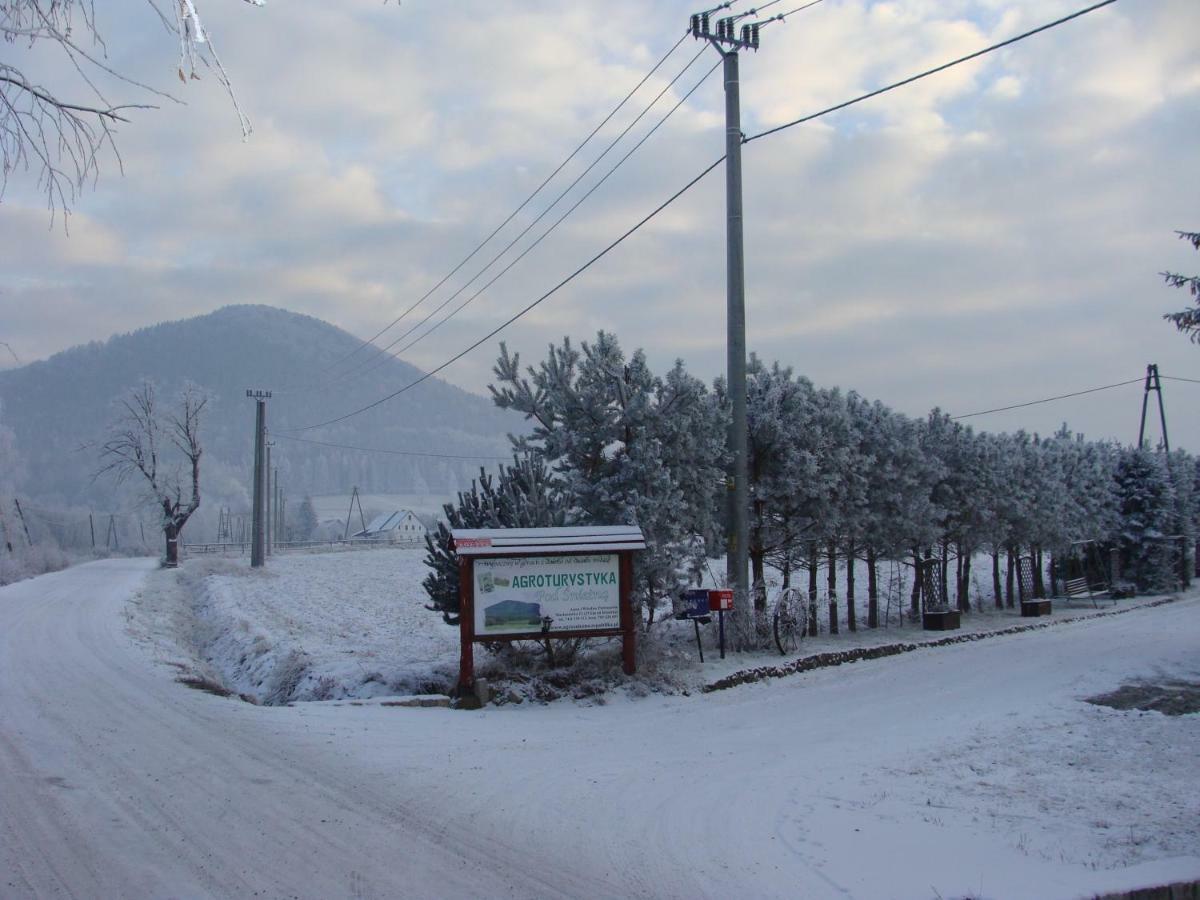 Agroturystyka Pod Sniezna Bystrzyca Kłodzka Dış mekan fotoğraf